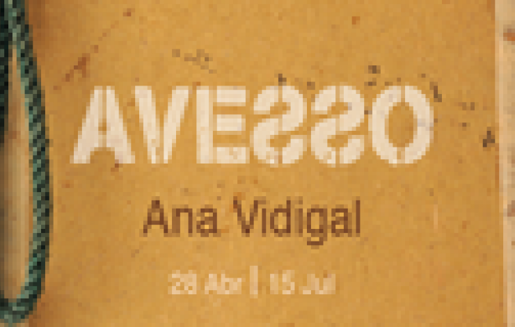 Exposição/Instalação AVESSO | Ana Vidigal