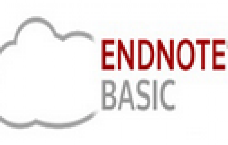 Formação | EndNote Basic