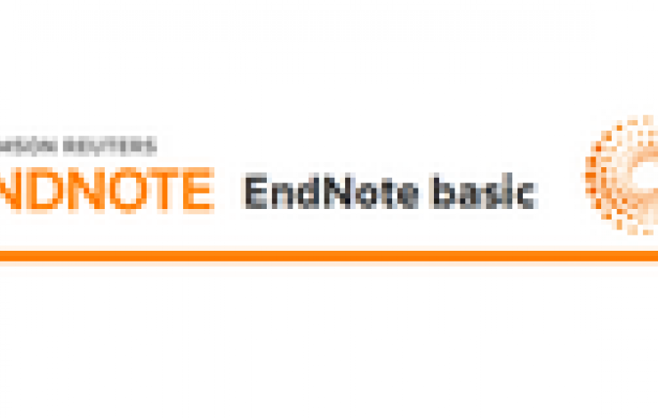 Formação - EndNote basic
