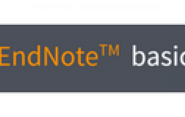 Formação | EndNote Basic