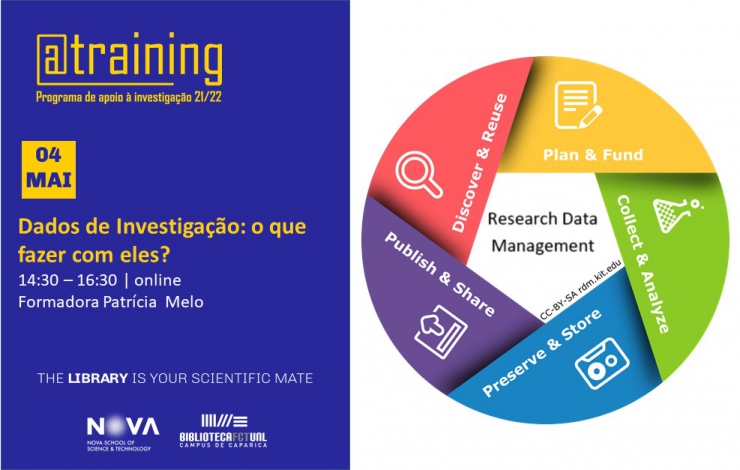 Formação | Dados de Investigação: o que fazer com eles?