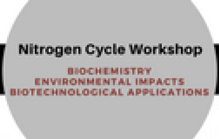 Nitrogen Cycle Workshop